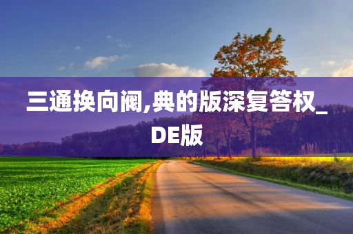 三通换向阀,典的版深复答权_DE版