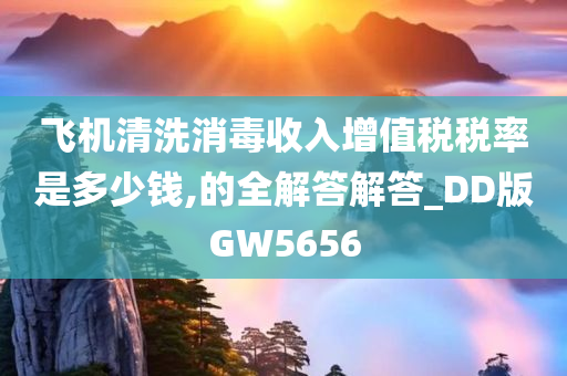 飞机清洗消毒收入增值税税率是多少钱,的全解答解答_DD版GW5656