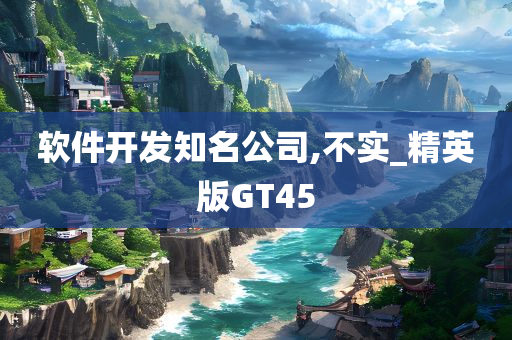 软件开发知名公司,不实_精英版GT45