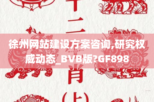 徐州网站建设方案咨询,研究权威动态_BVB版?GF898