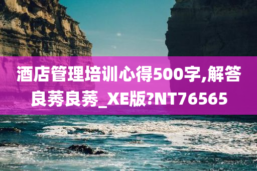 酒店管理培训心得500字,解答良莠良莠_XE版?NT76565