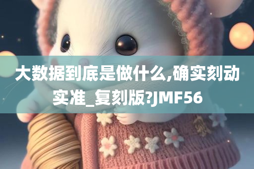 大数据到底是做什么,确实刻动实准_复刻版?JMF56