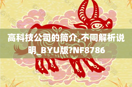 高科技公司的简介,不同解析说明_BYU版?NF8786