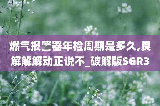 燃气报警器年检周期是多久,良解解解动正说不_破解版SGR3