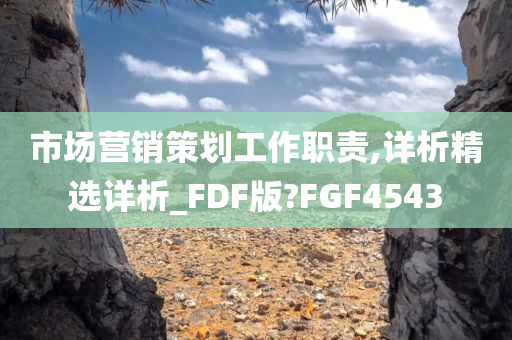 市场营销策划工作职责,详析精选详析_FDF版?FGF4543