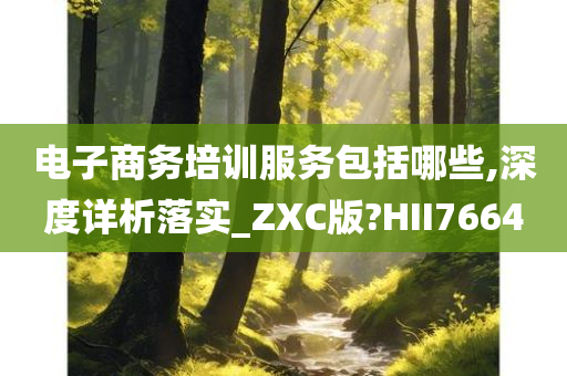 电子商务培训服务包括哪些,深度详析落实_ZXC版?HII7664