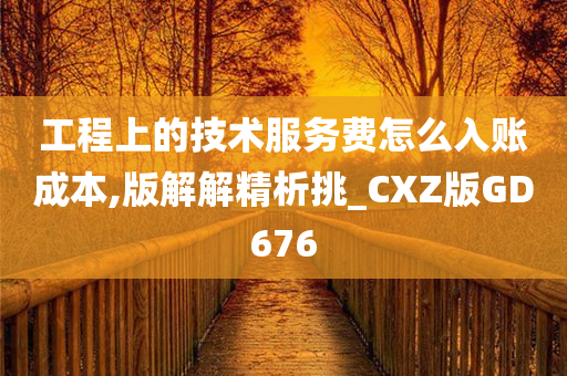 工程上的技术服务费怎么入账成本,版解解精析挑_CXZ版GD676