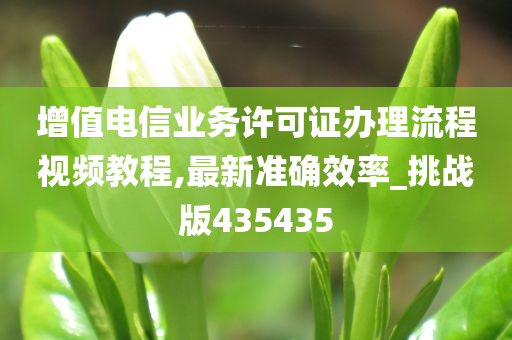 增值电信业务许可证办理流程视频教程,最新准确效率_挑战版435435