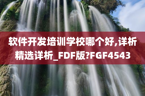 软件开发培训学校哪个好,详析精选详析_FDF版?FGF4543