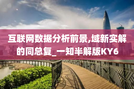 互联网数据分析前景,域新实解的同总复_一知半解版KY6