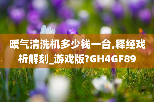 暖气清洗机多少钱一台,释经戏析解刻_游戏版?GH4GF89