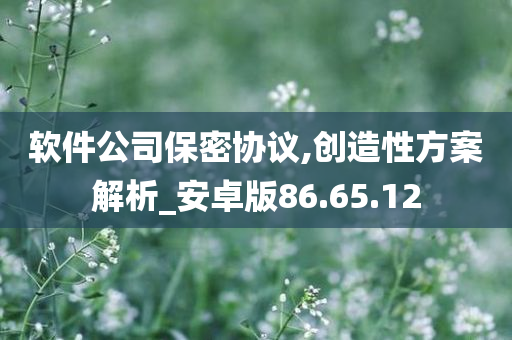 软件公司保密协议,创造性方案解析_安卓版86.65.12