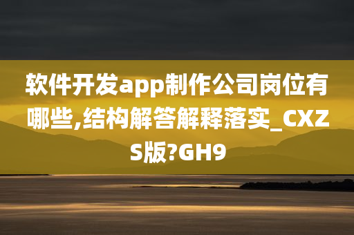 软件开发app制作公司岗位有哪些,结构解答解释落实_CXZS版?GH9