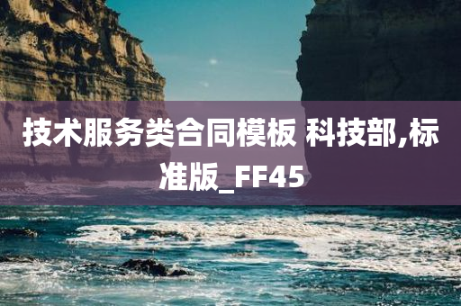 技术服务类合同模板 科技部,标准版_FF45