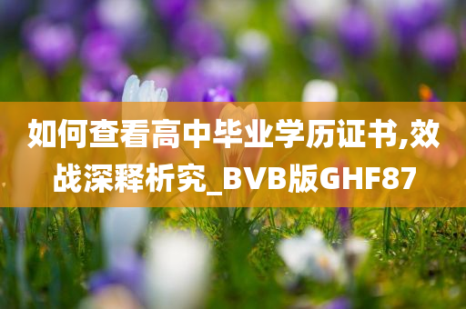 如何查看高中毕业学历证书,效战深释析究_BVB版GHF87