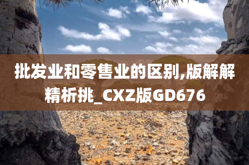 批发业和零售业的区别,版解解精析挑_CXZ版GD676