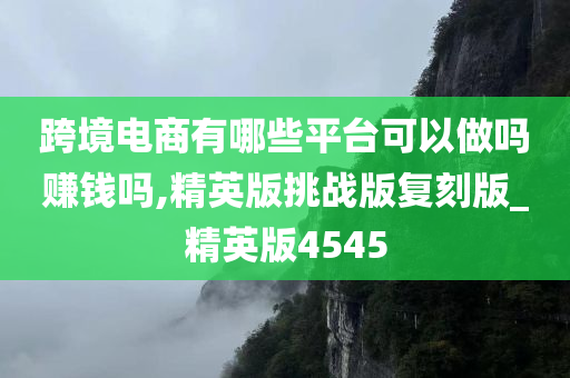 跨境电商有哪些平台可以做吗赚钱吗,精英版挑战版复刻版_精英版4545