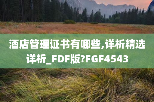 酒店管理证书有哪些,详析精选详析_FDF版?FGF4543