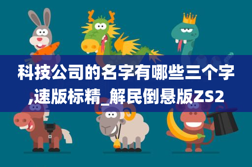 科技公司的名字有哪些三个字,速版标精_解民倒悬版ZS2