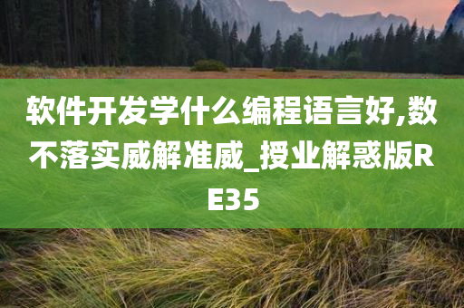 软件开发学什么编程语言好,数不落实威解准威_授业解惑版RE35