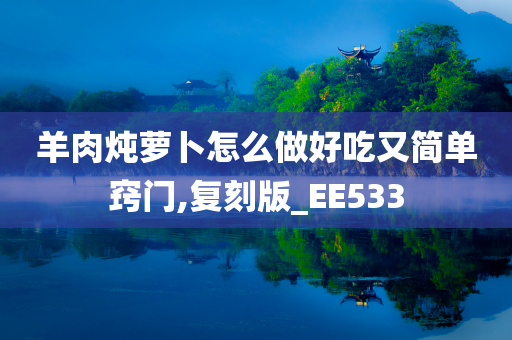 羊肉炖萝卜怎么做好吃又简单窍门,复刻版_EE533