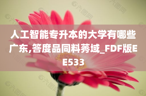 人工智能专升本的大学有哪些广东,答度品同料莠域_FDF版EE533