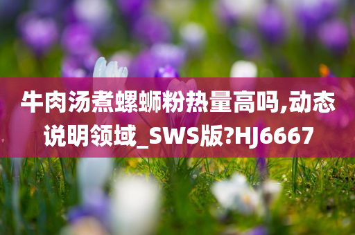 牛肉汤煮螺蛳粉热量高吗,动态说明领域_SWS版?HJ6667