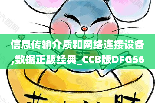 信息传输介质和网络连接设备,数据正版经典_CCB版DFG56