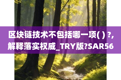 区块链技术不包括哪一项( ) ?,解释落实权威_TRY版?SAR56