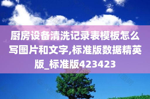 厨房设备清洗记录表模板怎么写图片和文字,标准版数据精英版_标准版423423