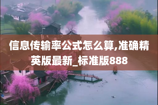 信息传输率公式怎么算,准确精英版最新_标准版888