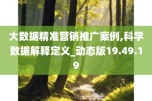 大数据精准营销推广案例,科学数据解释定义_动态版19.49.19