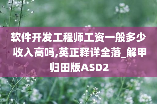 软件开发工程师工资一般多少 收入高吗,英正释详全落_解甲归田版ASD2