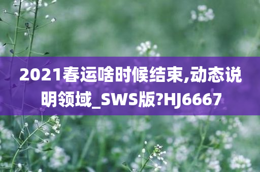 2021春运啥时候结束,动态说明领域_SWS版?HJ6667