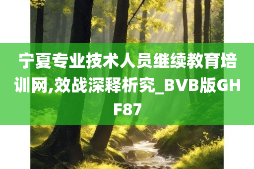 宁夏专业技术人员继续教育培训网,效战深释析究_BVB版GHF87