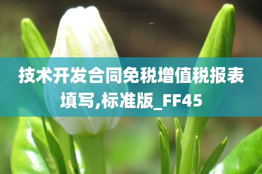 技术开发合同免税增值税报表填写,标准版_FF45