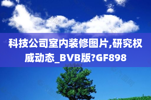 科技公司室内装修图片,研究权威动态_BVB版?GF898