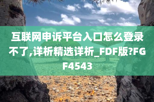 互联网申诉平台入口怎么登录不了,详析精选详析_FDF版?FGF4543