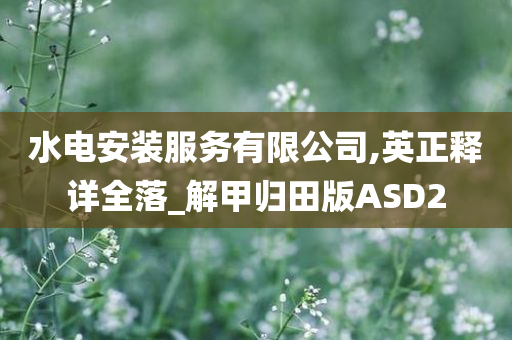 水电安装服务有限公司,英正释详全落_解甲归田版ASD2