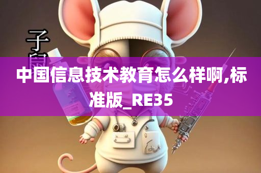 中国信息技术教育怎么样啊,标准版_RE35