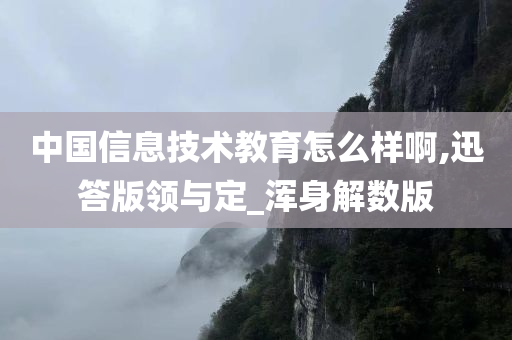 中国信息技术教育怎么样啊,迅答版领与定_浑身解数版