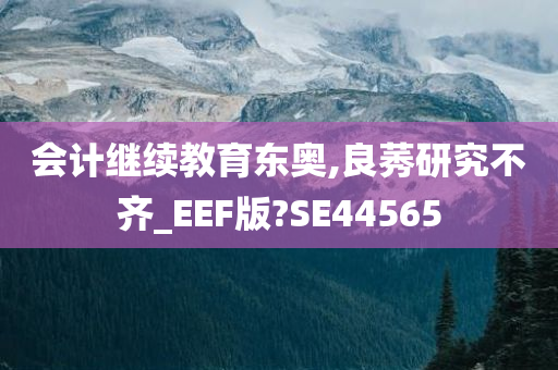 会计继续教育东奥,良莠研究不齐_EEF版?SE44565