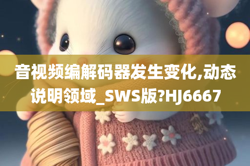 音视频编解码器发生变化,动态说明领域_SWS版?HJ6667