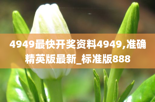 4949最快开奖资料4949,准确精英版最新_标准版888