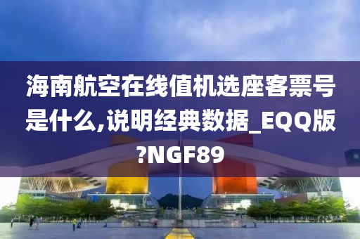 海南航空在线值机选座客票号是什么,说明经典数据_EQQ版?NGF89