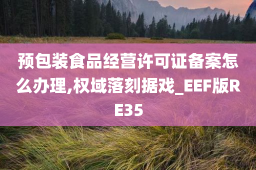 预包装食品经营许可证备案怎么办理,权域落刻据戏_EEF版RE35