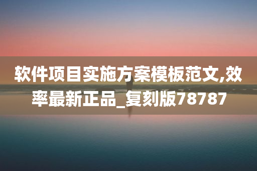 软件项目实施方案模板范文,效率最新正品_复刻版78787