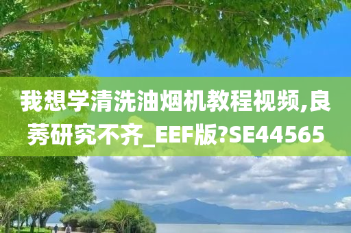 我想学清洗油烟机教程视频,良莠研究不齐_EEF版?SE44565