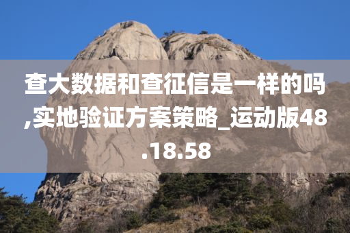 查大数据和查征信是一样的吗,实地验证方案策略_运动版48.18.58