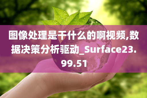 图像处理是干什么的啊视频,数据决策分析驱动_Surface23.99.51